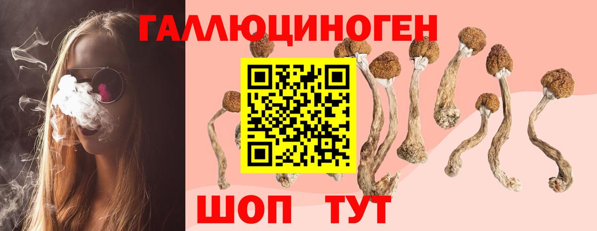 Псилоцибиновые грибы MAGIC MUSHROOMS Касимов